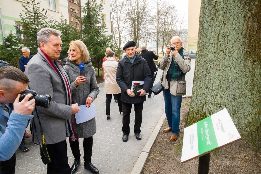 Dąb szypułkowy w Białymstoku ma patrona. Jest nim Michał...