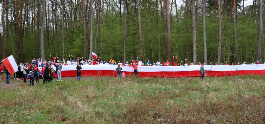 Bieg Konstytucji 3 maja w Lesie Kapturskim. Uczestniczyło prawie 300 osób (DUŻO ZDJĘĆ) 