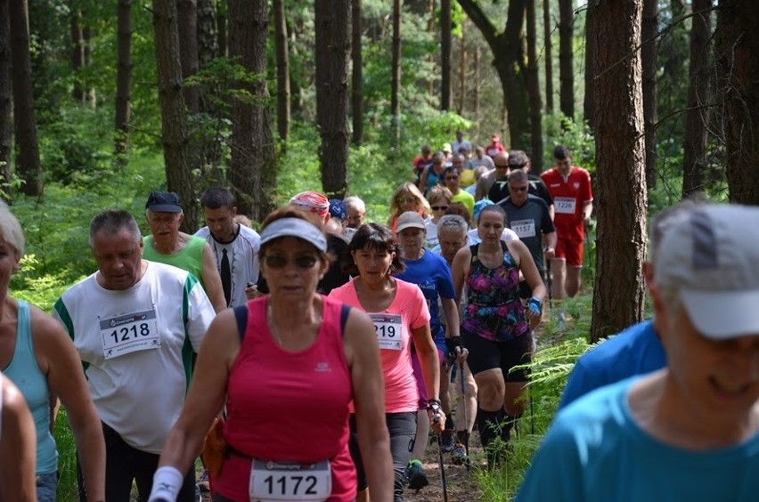 8. Marsz Nordic Walking w Koszwicach