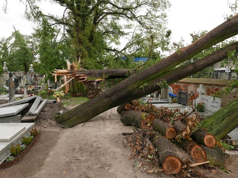 Białystok chce pomóc Pomorzanom