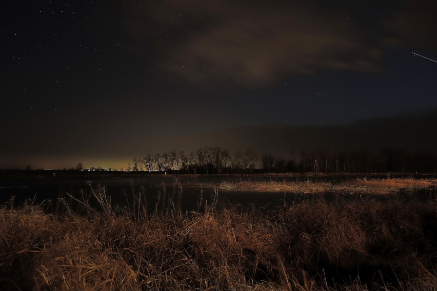 Serię niezwykły fotografii, gdzie uchwycono starlinki, pani...