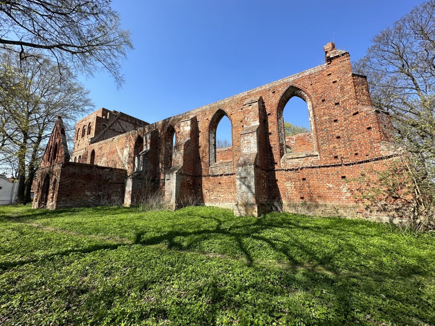 Ruiny XIV-wiecznego kościoła w Steblewie.