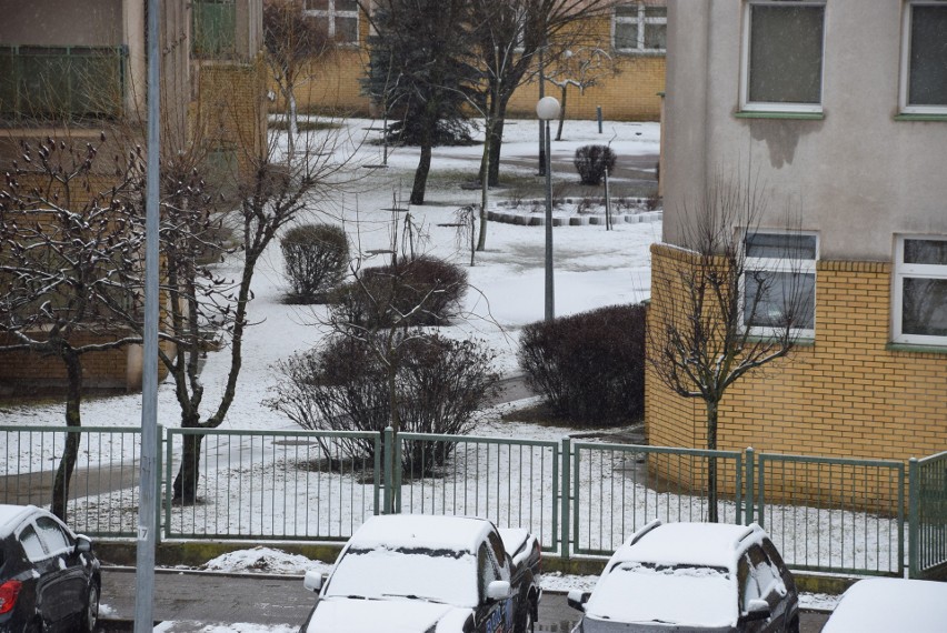 Lany Poniedziałek rozpoczął się od opadów śniegu