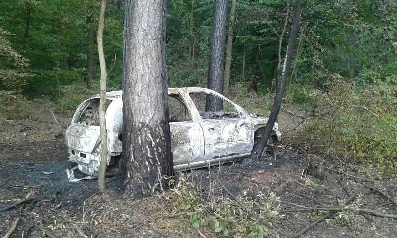 W czwartek po południu płonął samochód zaparkowany w lesie w...