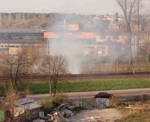 Trawy nadal groźne. Nawet w centrum miasta.