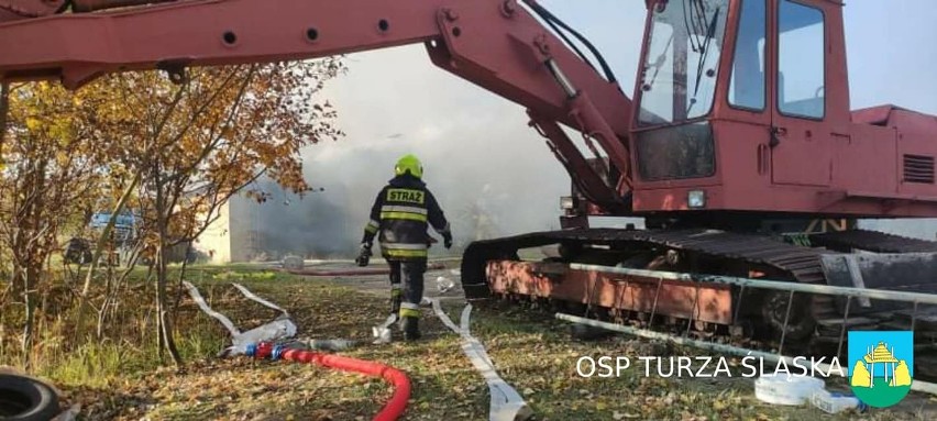 W wielkim pożarze w Turzy Śląskiej spłoneła hala magazynowa.