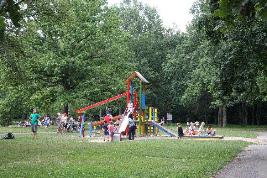 Tak dziś wygląda park Zielona w Dąbrowie Górniczej