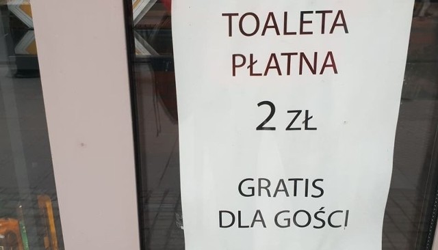 Tylko 14 restauracji mieszczących się przy ul. Piotrkowskiej użycza spacerowiczom bezpłatnej toalety. To niewiele miejsc biorąc pod uwagę liczbę wszystkich lokali na reprezentacyjnej ulicy miasta.