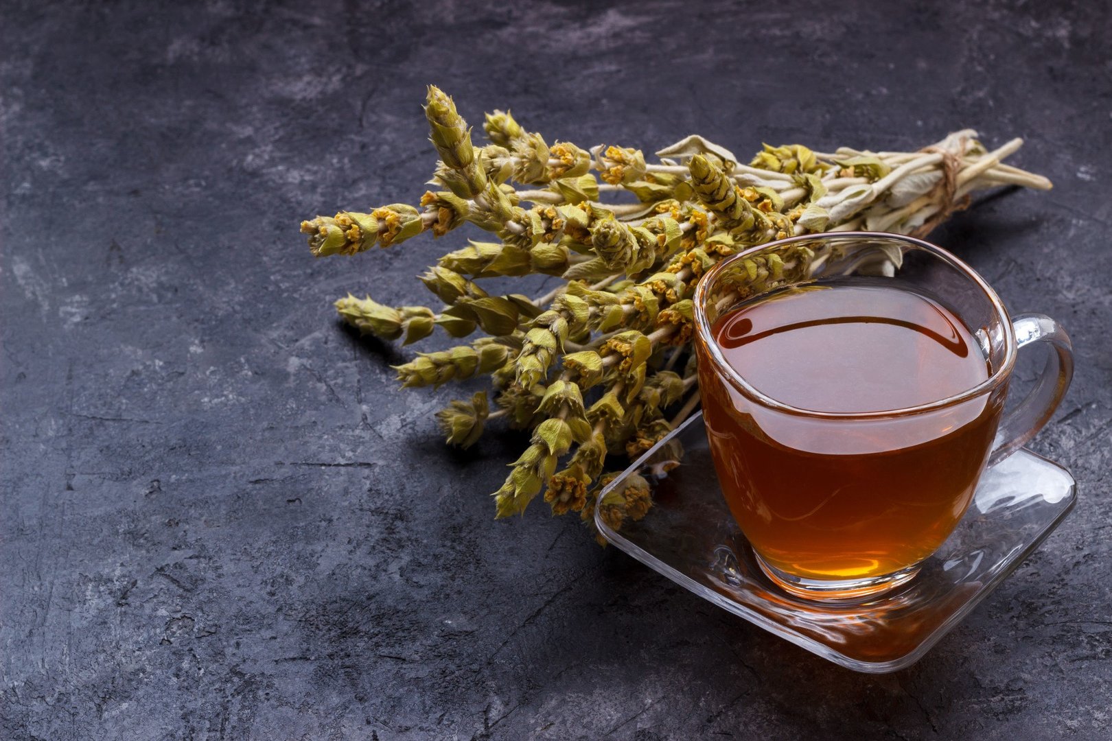 Gojnik – właściwości, zastosowanie i działanie. Gojnik herbata i nasiona –  w jakich sytuacjach warto je stosować? | Strona Zdrowia