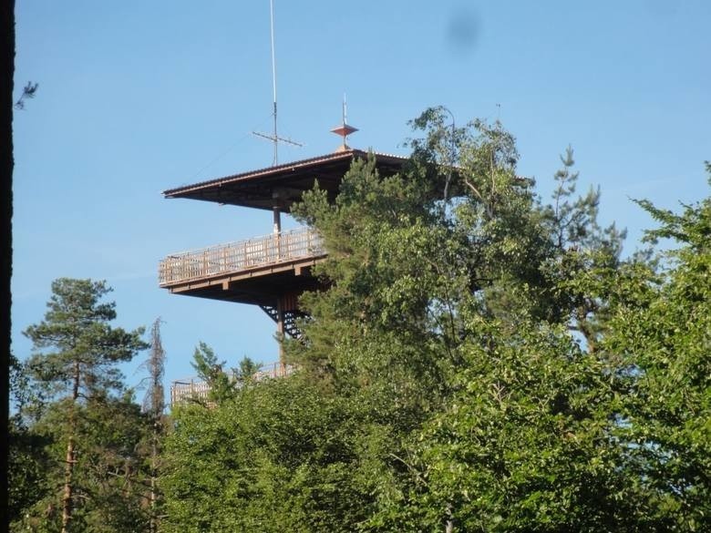 8. Wieża Widokowa Wieżyca im. Jana Pawła II na Wieżycy...