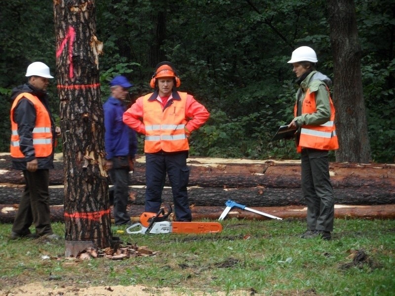 Cietrzewisko 2013 w Koszęcinie