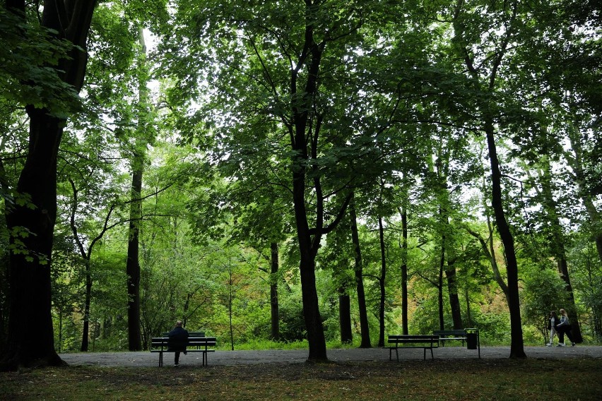 Park Bednarskiego - wkrótce czeka go rewitalizacja