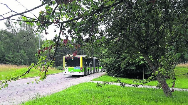 Osiedle Śląskie. Miejsce urokliwe, zaciszne, położone ok. 7 km od głośnego centrum miasta. Jest tylko jeden problem, który wdziera się w ten sielski obrazek - pętla autobusowa MZK.