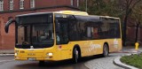 Nowy rozkład jazdy autobusów w Stargardzie. W weekendy tylko jedna linia