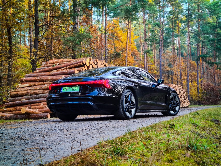 Samochody takie jak Audi RS e-tron GT nie będą częstym...