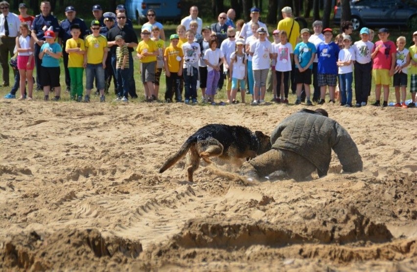 Siemianówka. Wojewódzka Inauguracja Wakacji 2014 (zdjęcia)