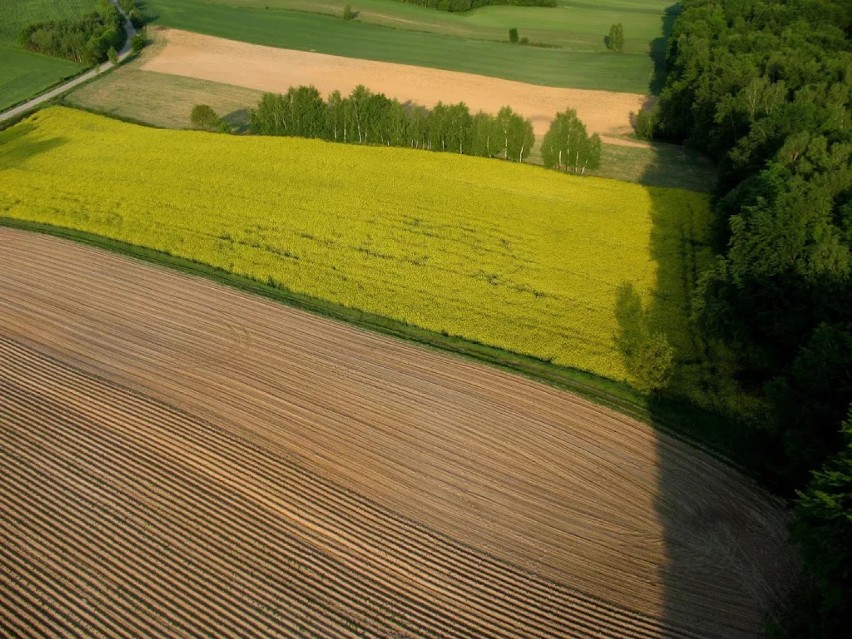 Jura Krakowsko-Częstochowska z lotu ptaka [ZDJĘCIA]