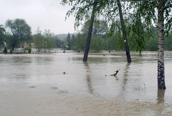 Powódź w Krośnie.