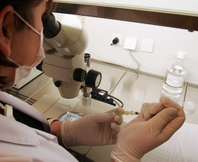 Na leczenie metodą in vitro Sosnowiec wyda w ciągu 4 lat 800 tys. zł