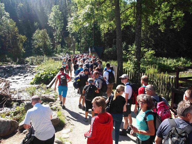 Tłumy na szlakach - to był codzienny obrazem w czasie tegorocznych wakacji w Tatrach