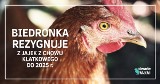 Biedronka rezygnuje z jajek z chowu klatkowego!