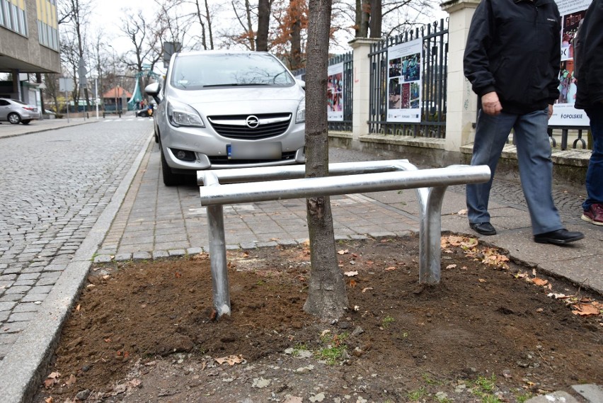 Osłony przy drzewach to inicjatywa rady dzielnicy Stare...