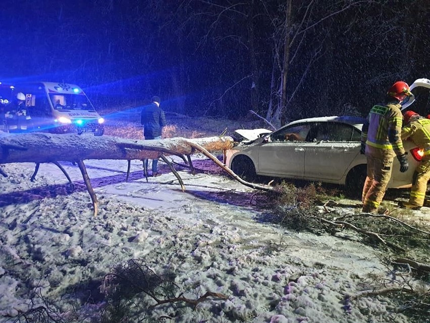 W Żołędowie pod Bydgoszczą auto osobowe uderzyło w drzewo,...