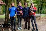 Piękne psy do adopcji w schronisku dla zwierząt w Skierniewicach ZDJĘCIA
