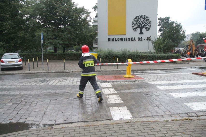 Uszkodzony gazociąg na ulicy Białowieskiej