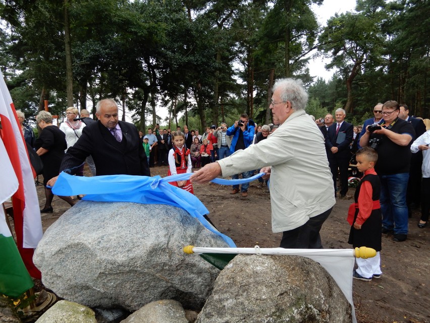 Najpierw społeczność Królikowa uporządkowała teren dawnej...