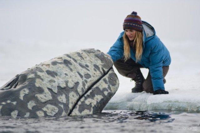 Kadr z filmu: Na ratunek wielorybom