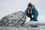 Na ratunek wielorybom już w kinach 