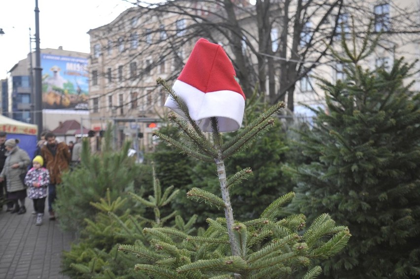 Kraków. Daj drugie życie swojej świątecznej choince