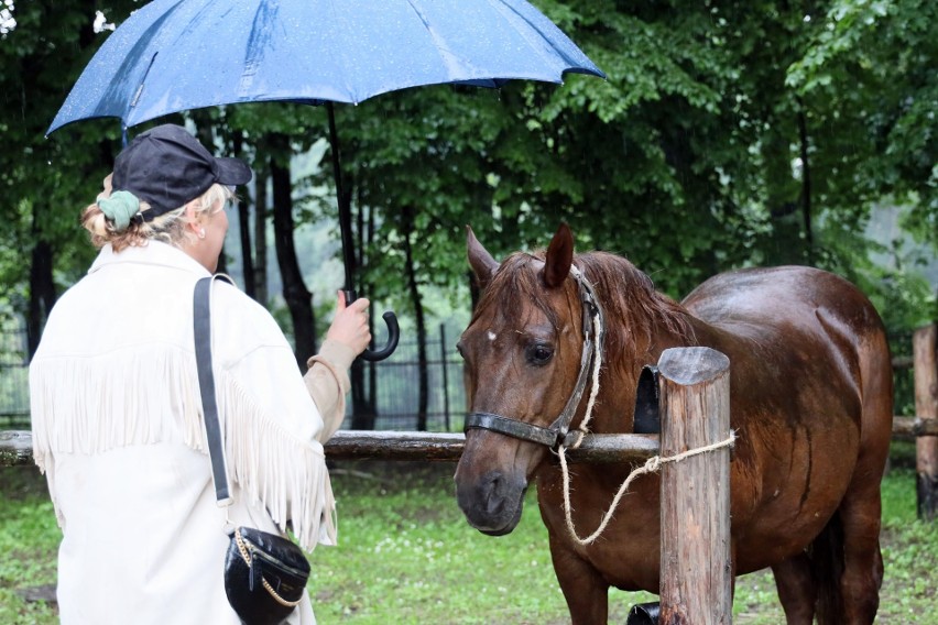 Tak kiedyś targowano się o konie. Zobacz zdjęcia z Jarmarku Końskiego w Skansenie             
