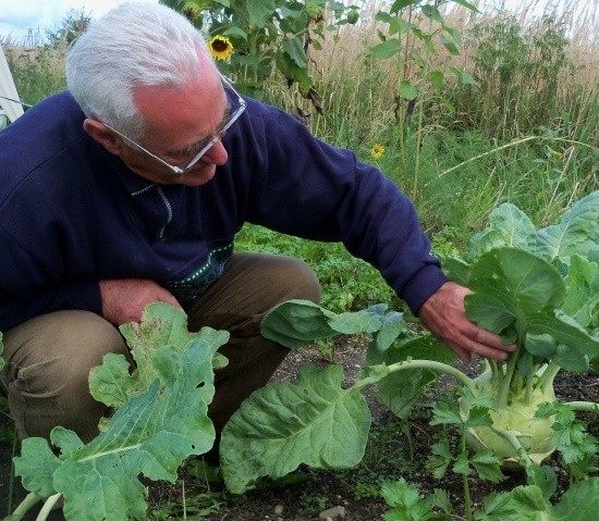 W warzywniku państwa Styrów rosną warzywa giganty.