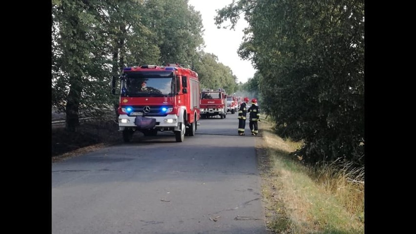 Policjanci i strażacy szukają zaginionego mężczyzny w Wołczynie. Podczas akcji znaleźli zwłoki innej osoby!