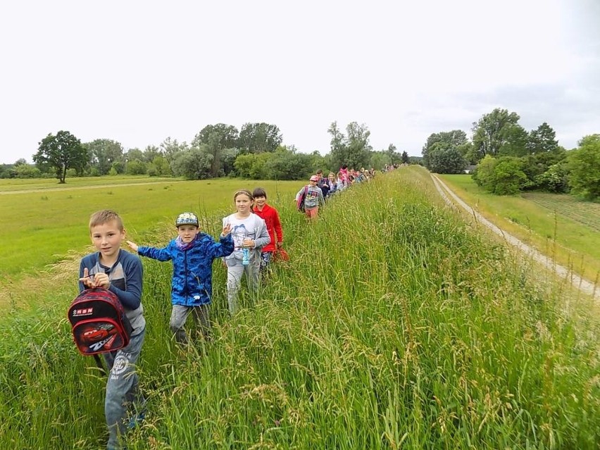 Rok Rzeki Wisły 2017. Uczniowie szkoły podstawowej w Babinie...