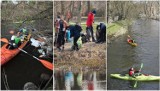 Posprzątali koryto rzeki. W sobotę przez cztery godziny około 150 osób zbierało śmieci z okolic Słupi