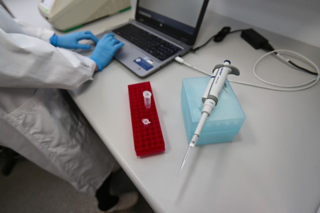 Pierwsza partia szczepionki na Covid-19 dotarła już do Torunia. 27 grudnia 2020 wyruszy do szpitali w regionie, by pierwsze osoby mogły zostać zaszczepione.