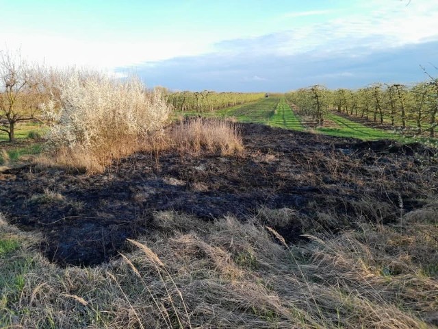 Na miejscu sobotniego pożaru w Postronnej