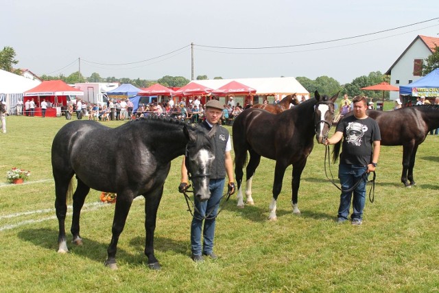W najbliższy weekend do Poręby w gminie Leśnica przyjedzie 50 najpiękniejszych koni z całej Polski.