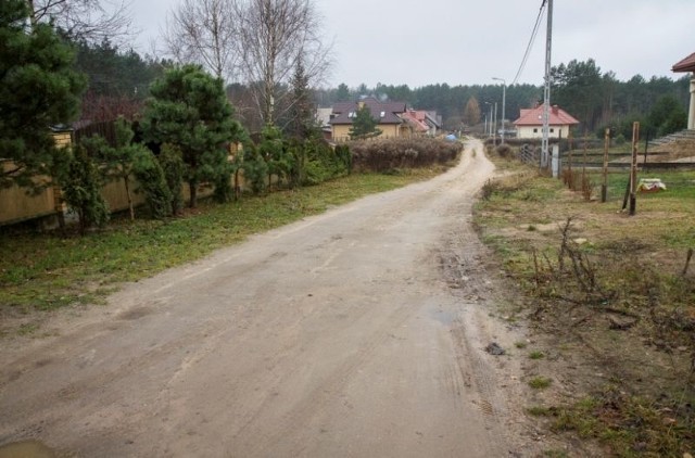 Burmistrz obiecał, że zarośla i krzaki obok drogi zostaną wkrótce wycięte.