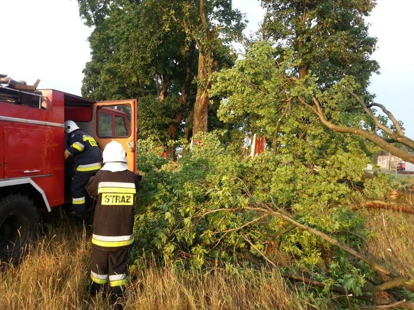 Nawałnica nad Gorzowem: Połamane drzewa i słupy, zablokowane drogi (zdjęcia)