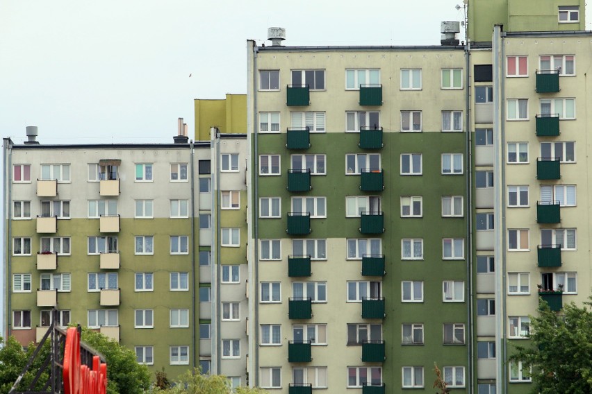 Spacerkiem po Kalinowszczyźnie. Zielona Kalina to dla wielu mieszkańców najpiękniejsza dzielnica Lublina. Zobaczcie zdjęcia