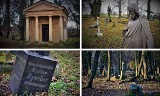 Stary cmentarz w Kędzierzynie-Koźlu ma niesamowity klimat. Pochowano tu ważne osobistości
