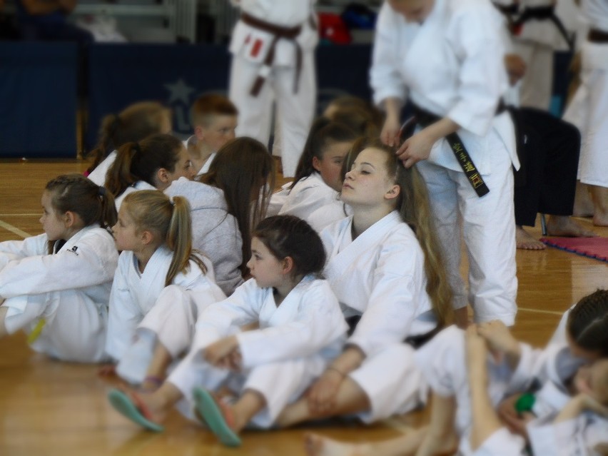 Bytom: Silesia Cup 2016 karate w Hali na Skarpie