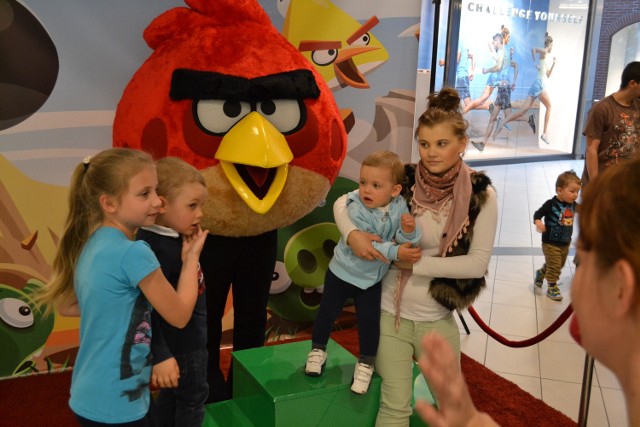 Angry Birds w Focus Mall Rybnik