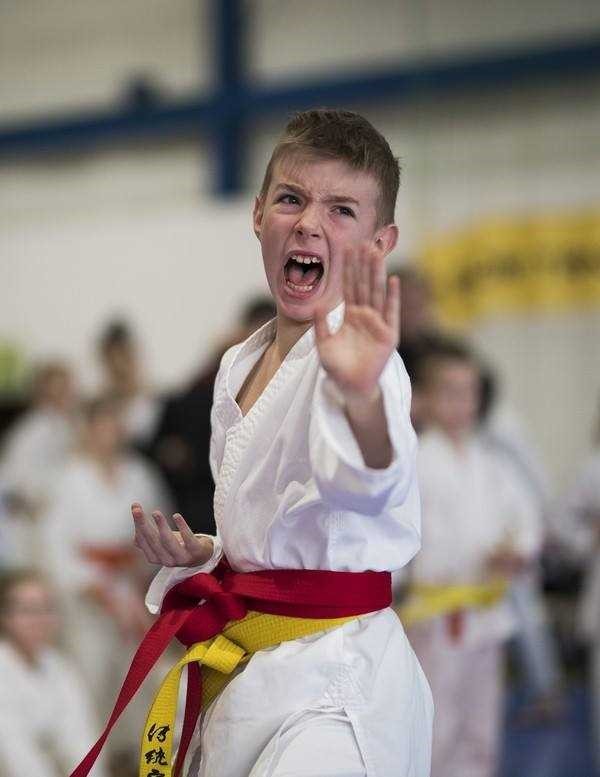 40 medali AKT Niepołomice-Kraków w zawodach karate tradycyjnego Wratislavia Cup