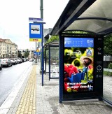Zaskakująca kampania ALDI w Śląskiem. Przystanki autobusowe w naszym regionie pachną... truskawkami! W jakich miastach się na nie natkniemy?