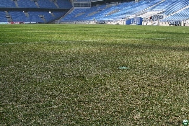 Murawa na stadionie w Poznaniu już pięć razy była wymieniana